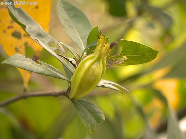 ãã¡ã€ã« 890-1.jpg