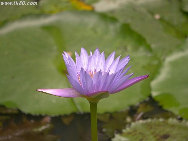 ãã¡ã€ã« 891-2.jpg