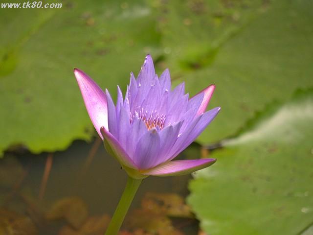 ãã¡ã€ã« 891-3.jpg