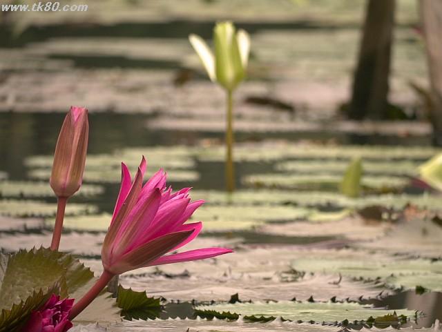 ãã¡ã€ã« 891-5.jpg