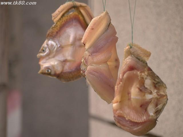 ãã¡ã€ã« 892-1.jpg