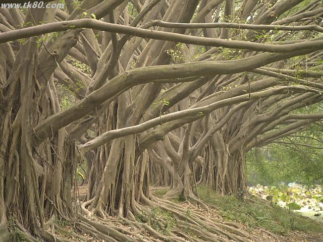 ファイル 893-1.jpg