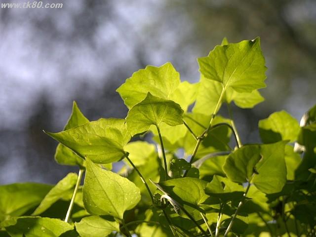 ファイル 894-2.jpg