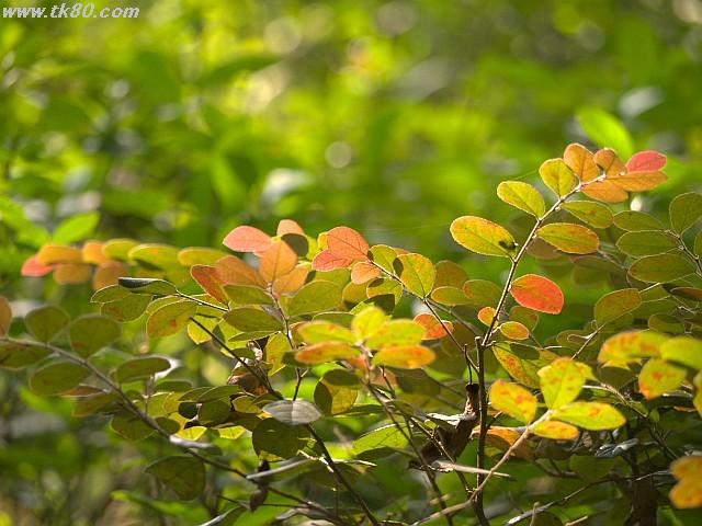 ファイル 894-4.jpg