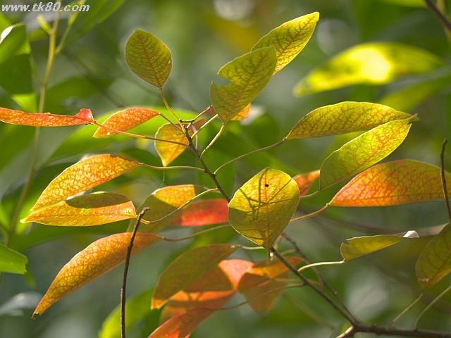 ファイル 894-5.jpg