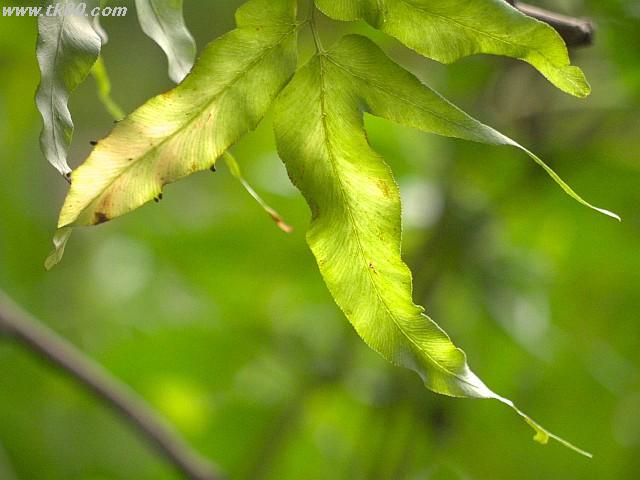 ファイル 895-1.jpg