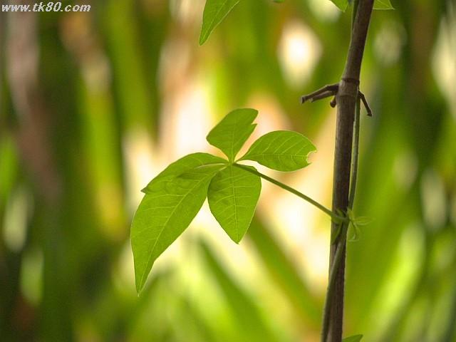 ファイル 895-2.jpg