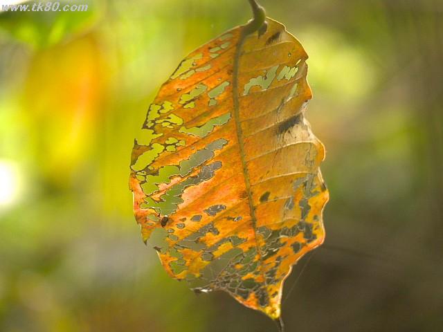 ファイル 895-3.jpg