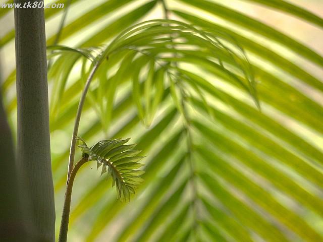 ファイル 895-5.jpg