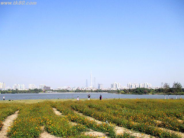 ファイル 899-2.jpg