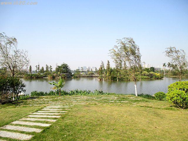 ファイル 899-4.jpg