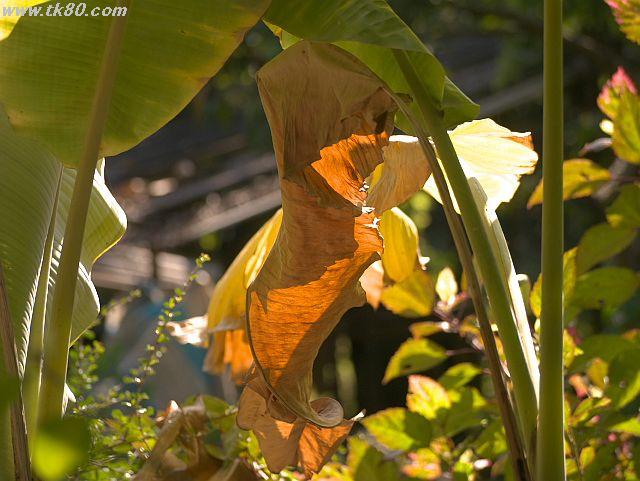 ファイル 901-2.jpg