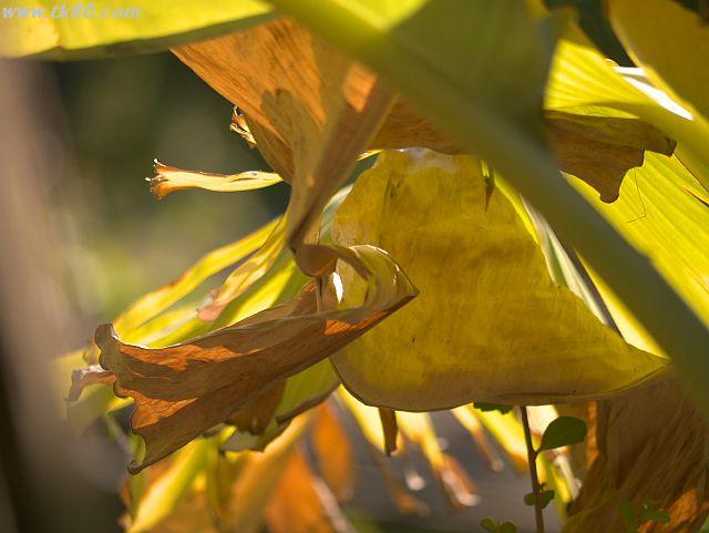 ファイル 901-3.jpg