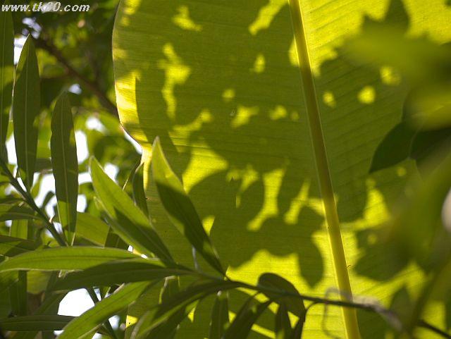 ファイル 901-4.jpg