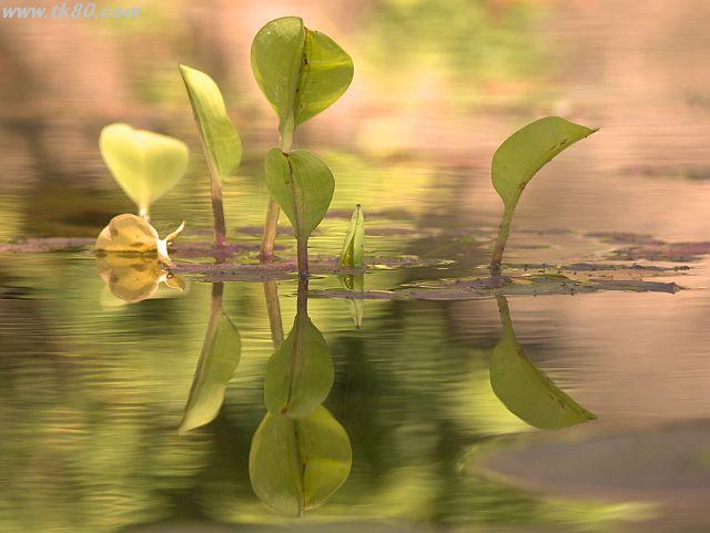 ファイル 907-3.jpg