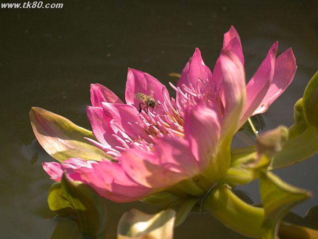 ファイル 907-5.jpg