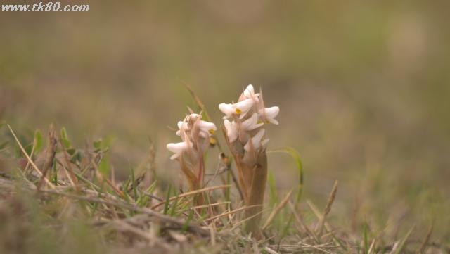 ãã¡ã€ã« 923-2.jpg