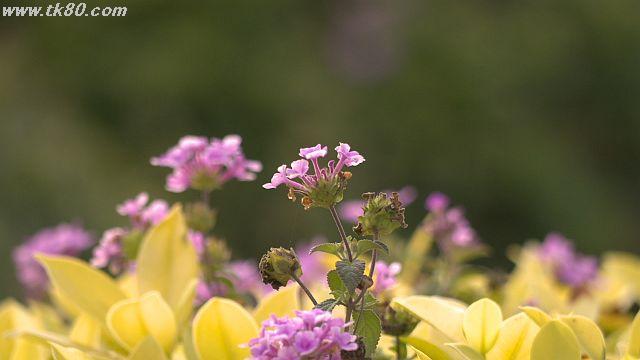 ãã¡ã€ã« 923-5.jpg