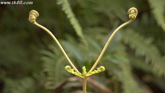 ãã¡ã€ã« 925-2.jpg