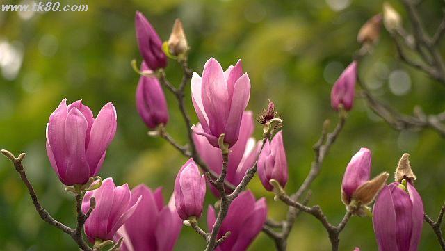 ãã¡ã€ã« 925-3.jpg