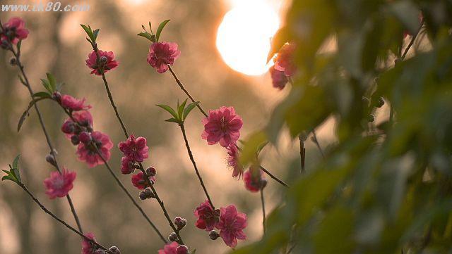 ãã¡ã€ã« 926-4.jpg