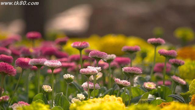 ãã¡ã€ã« 927-2.jpg