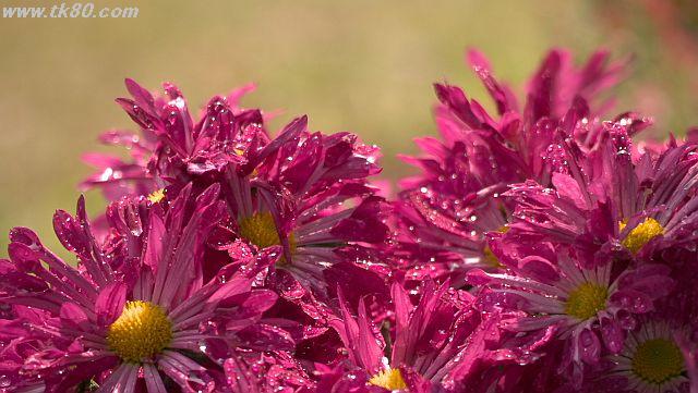 ãã¡ã€ã« 927-3.jpg