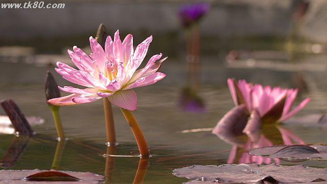 ãã¡ã€ã« 927-4.jpg