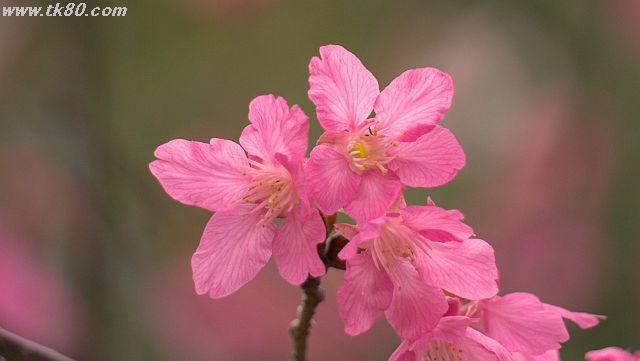 ãã¡ã€ã« 931-4.jpg