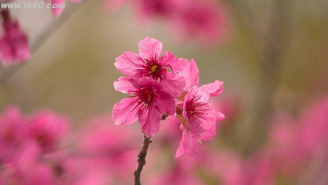 ãã¡ã€ã« 931-5.jpg