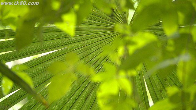 ファイル 941-2.jpg