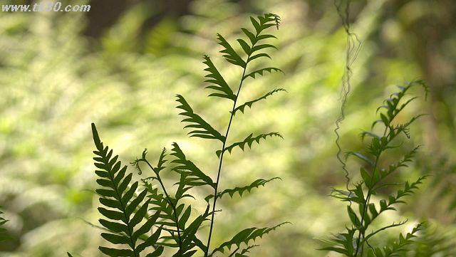 ファイル 941-3.jpg