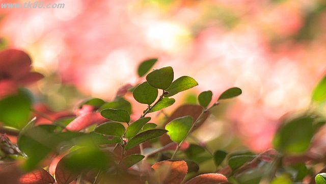 ファイル 941-5.jpg