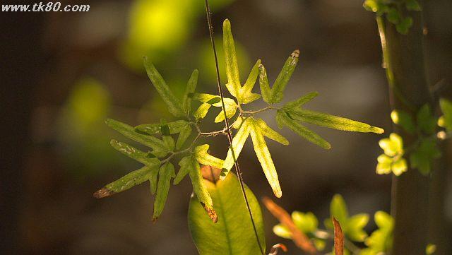 ファイル 942-2.jpg