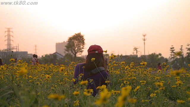 ファイル 943-4.jpg