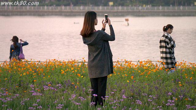 ファイル 943-5.jpg