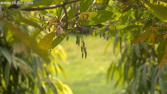 ファイル 944-2.jpg