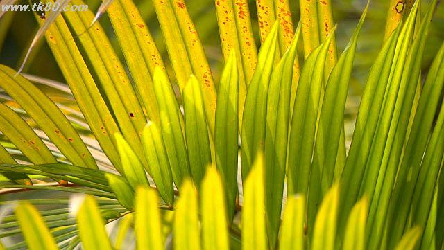 ファイル 944-3.jpg