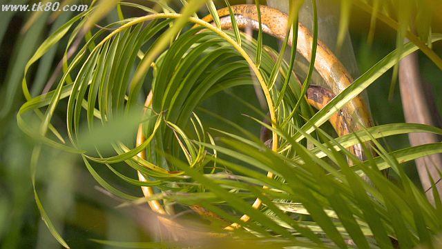 ファイル 944-4.jpg