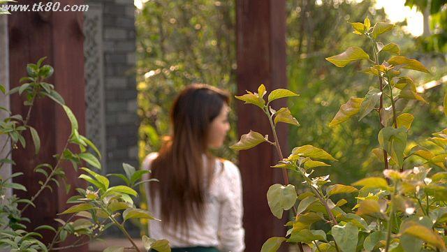 ファイル 945-2.jpg