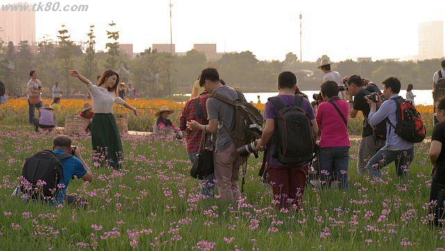 ファイル 945-3.jpg