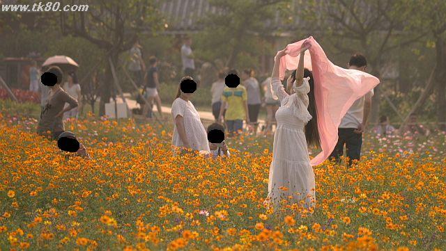 ファイル 945-4.jpg