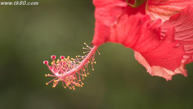 ファイル 946-2.jpg