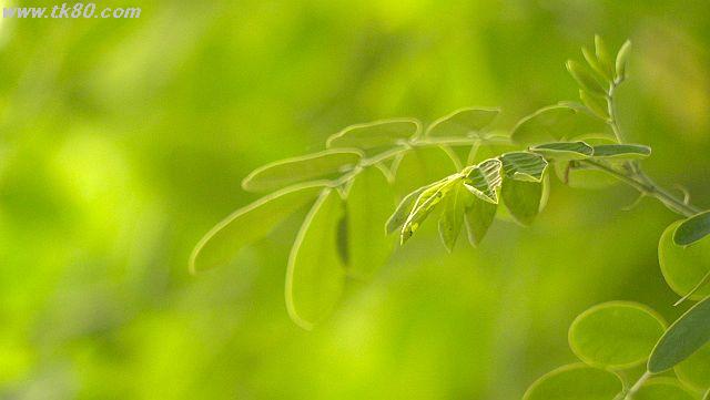 ファイル 946-5.jpg