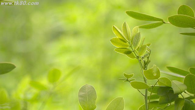 突然のスコールが来たので帰宅した