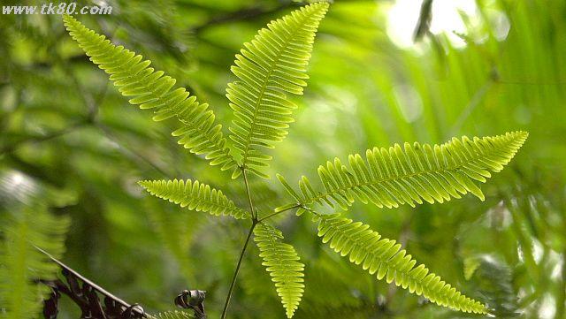 ファイル 980-4.jpg