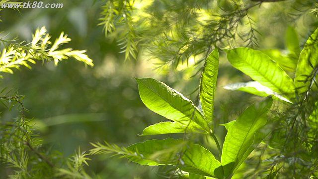 暑い！スコールが来ない！！