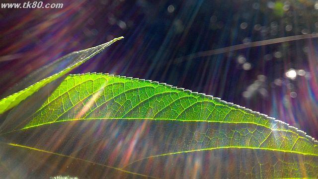 これはこれで面白いゾ！